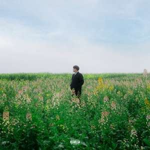 gogogo免费非洲完整
